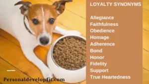 loyalty synonyms 